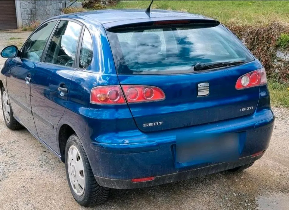 Seat Ibiza