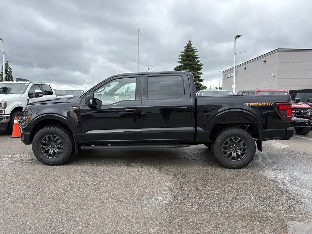 Ford F-150 2026 photo 4