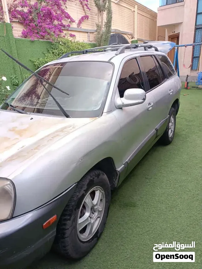 Hyundai Santa Fe 2006 photo 2