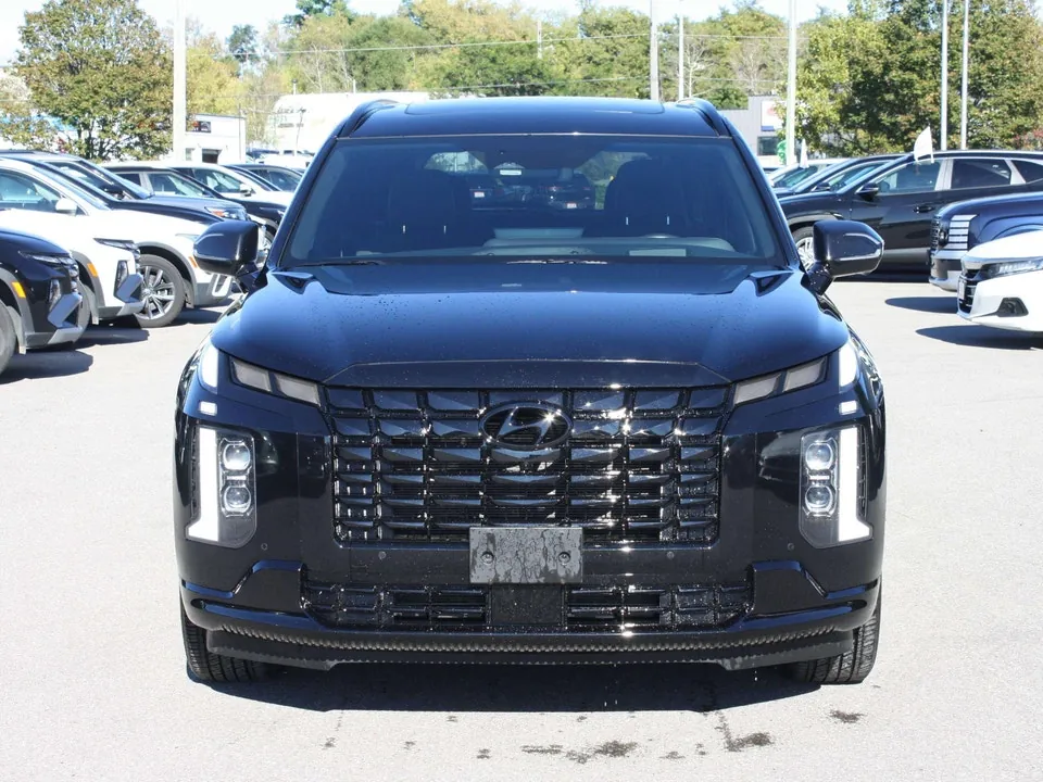 Hyundai Palisade 2025 photo 2