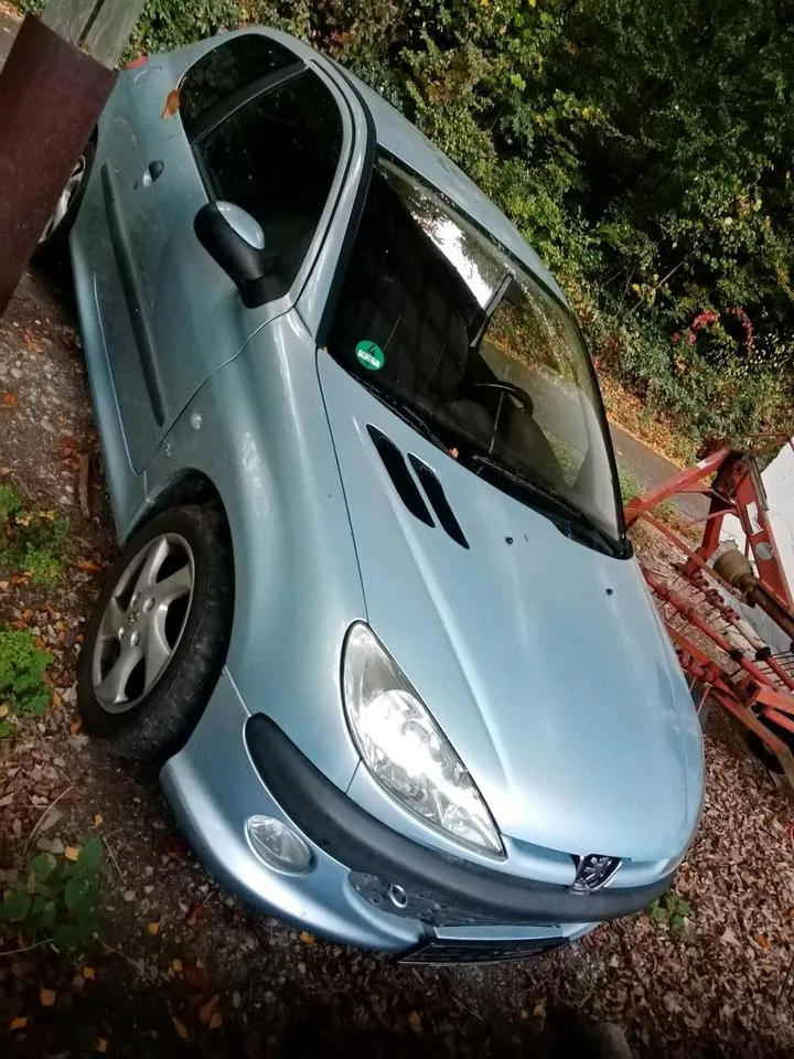 Peugeot 206
