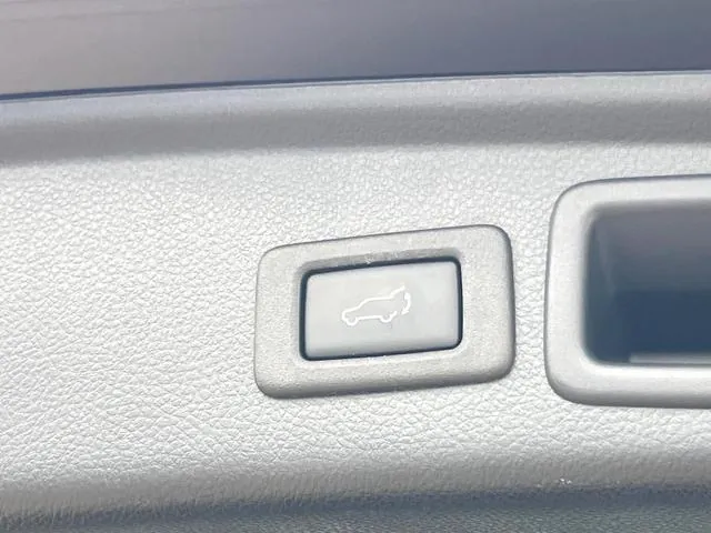 Suzuki Forster 2016 photo 3