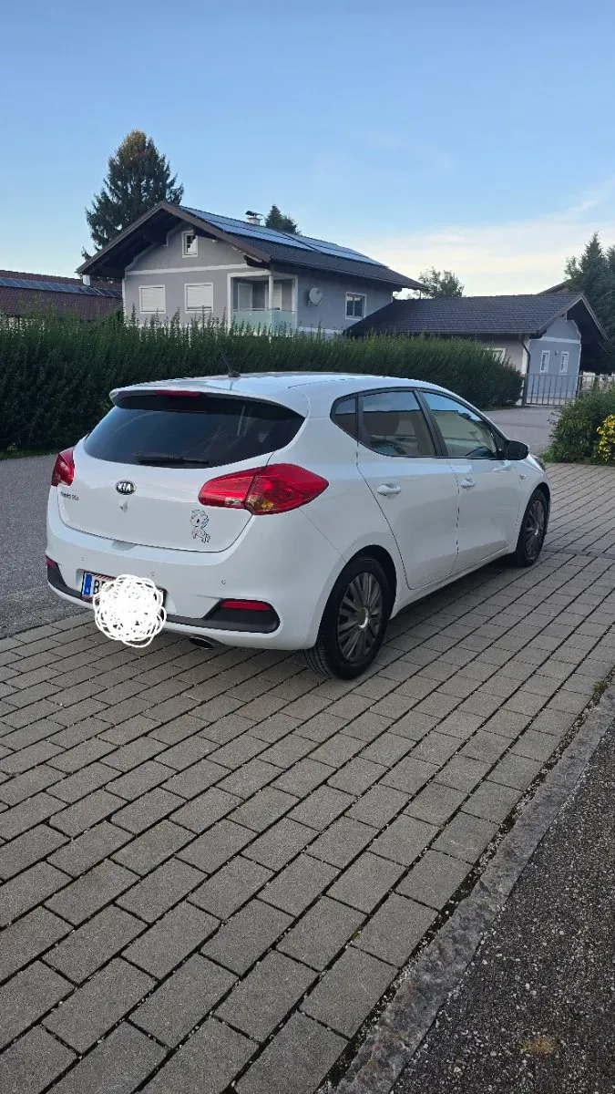 Kia Ceed 2015 photo 3