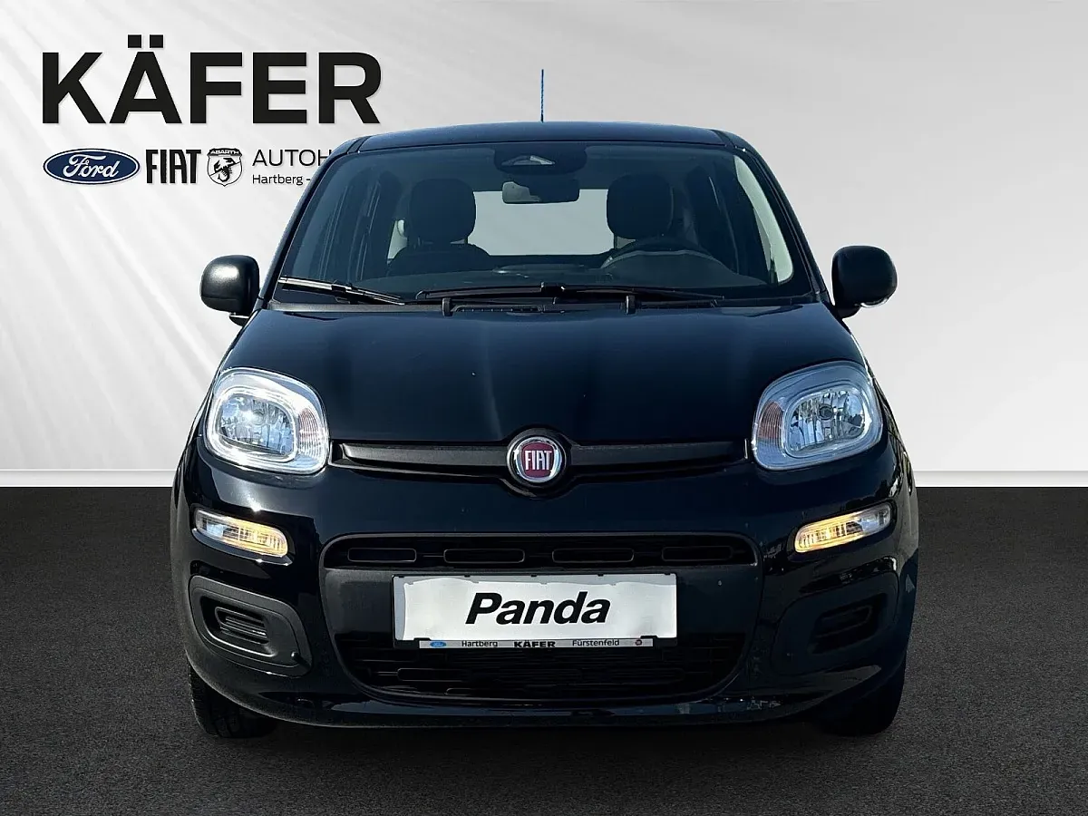 Fiat Panda photo 2