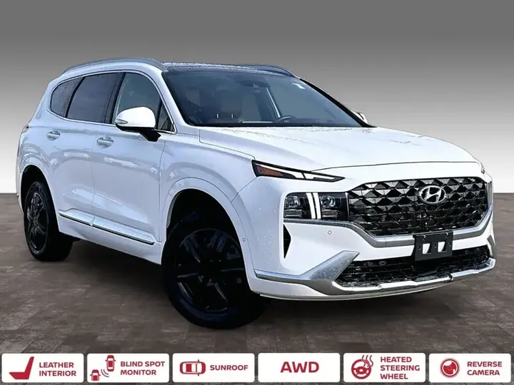 Hyundai Santa Fe 2023 photo 2