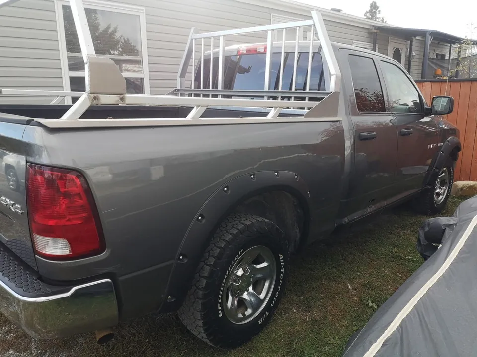 Dodge Ram 1500 2010 photo 3