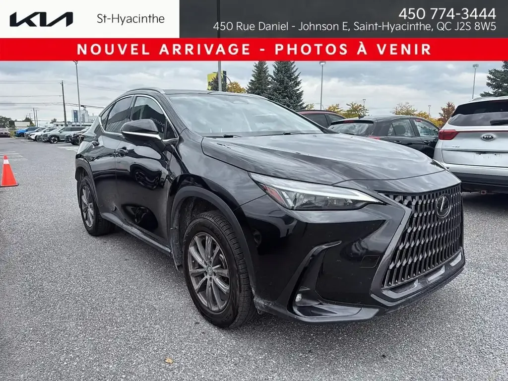 Lexus Nx 2022 photo 4