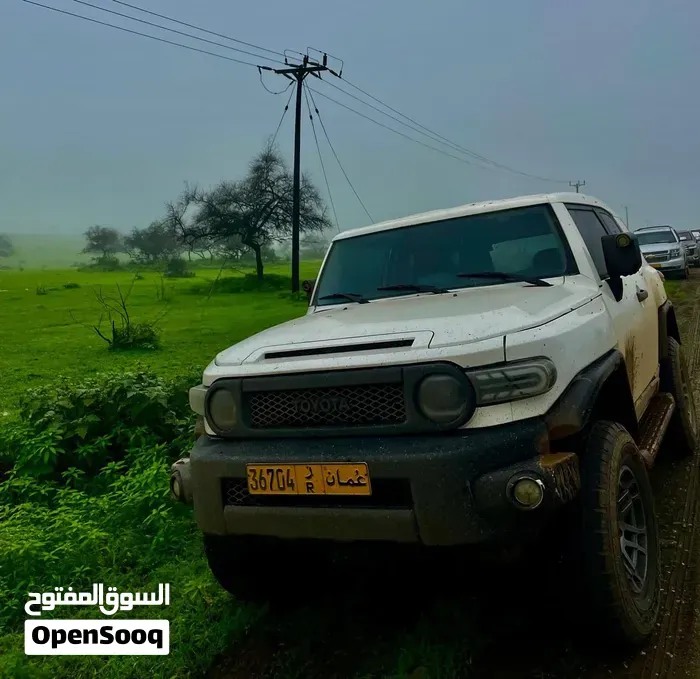 Toyota Fj 2008 photo 2