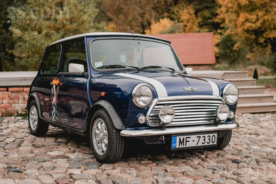 Rover Mini