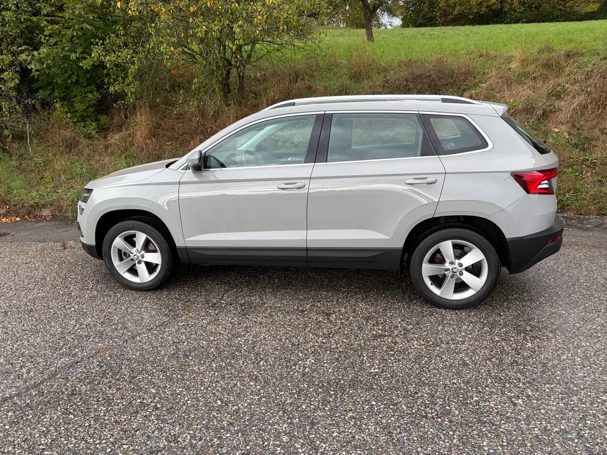 Skoda Karoq 2018 photo 3
