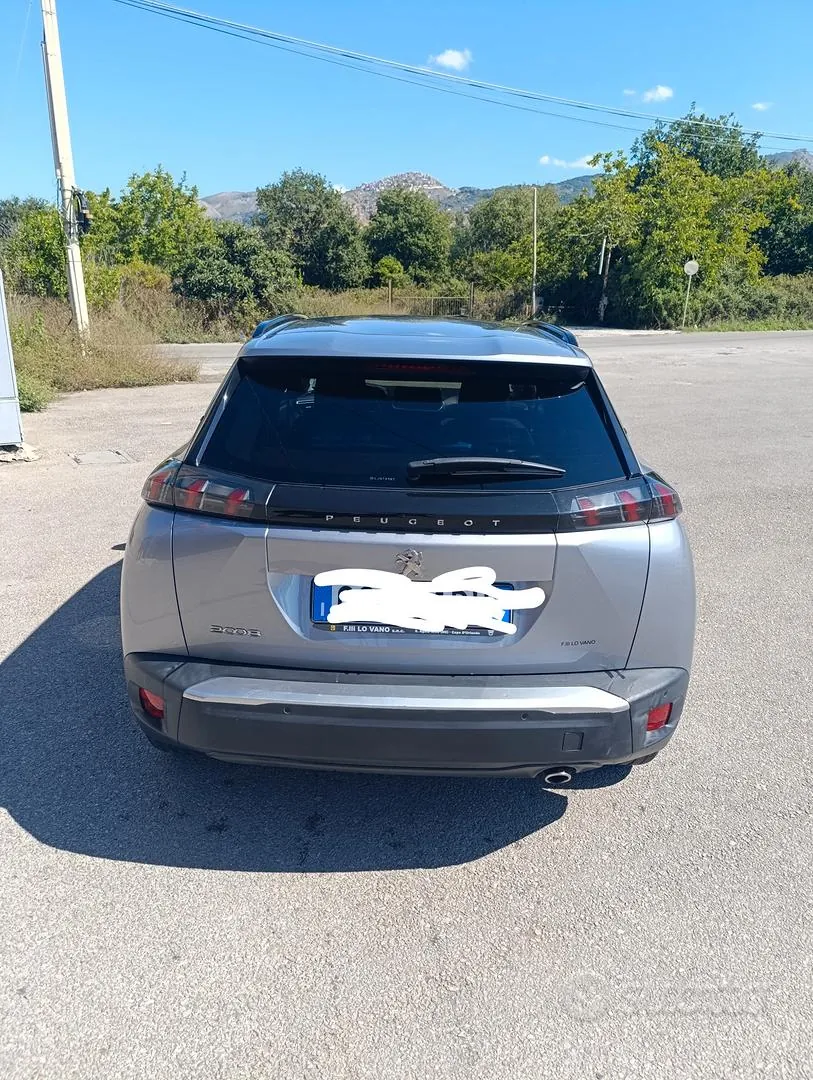 Peugeot 2008 2021 photo 2
