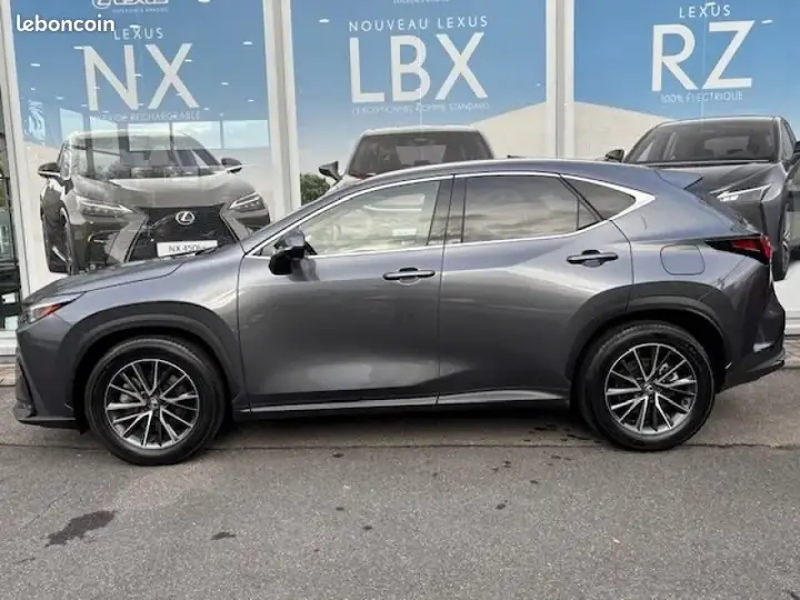 Lexus Nx 2024 photo 5