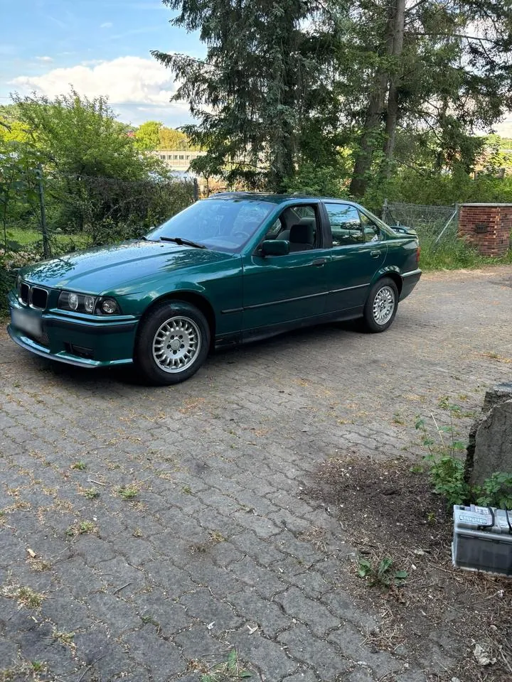 BMW E36