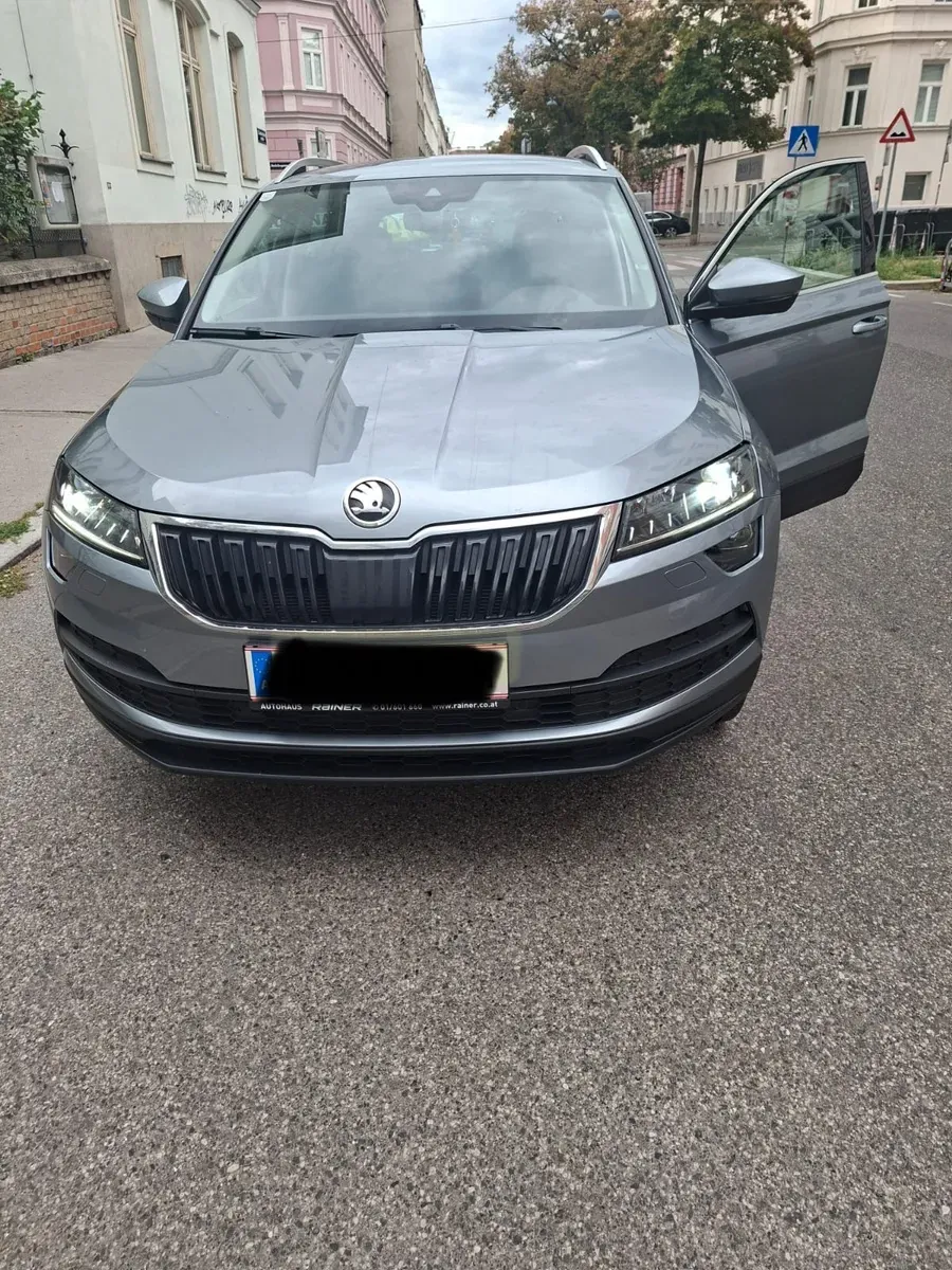 Skoda Karoq 2018 photo 3