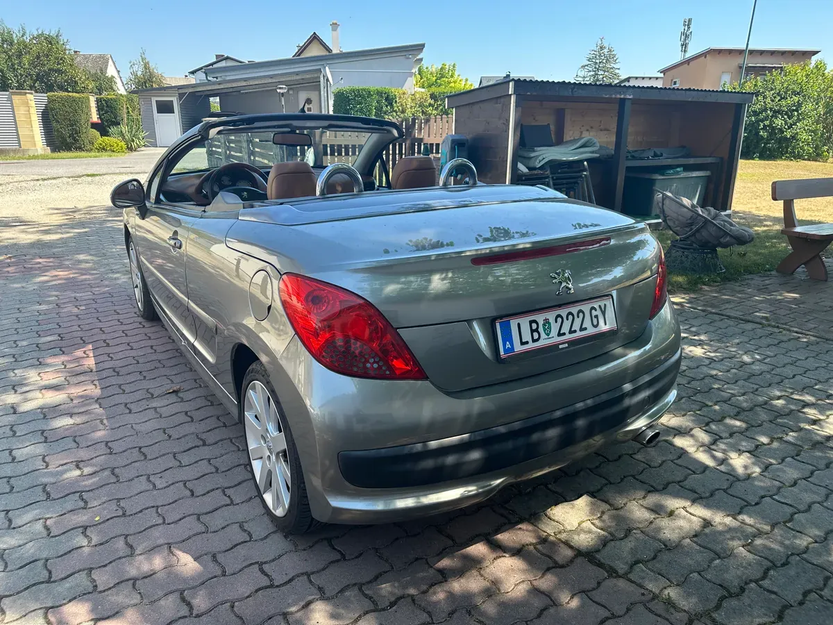 Peugeot 207 2009 photo 2