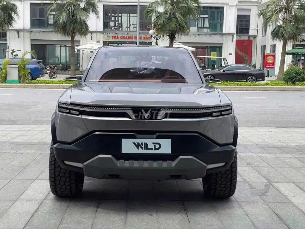 Vinfast Vf Wild