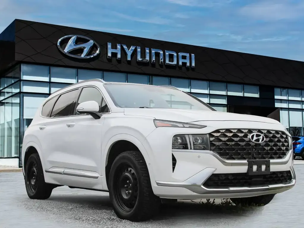 Hyundai Santa Fe 2023 photo 2
