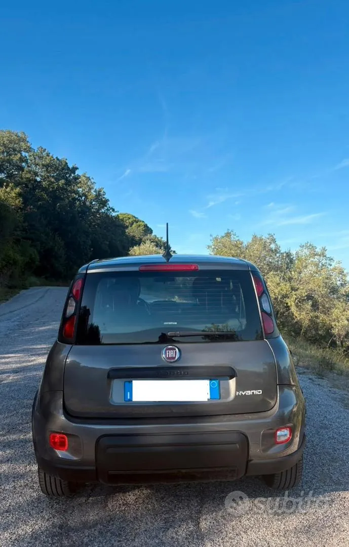Fiat Panda 2022 photo 3