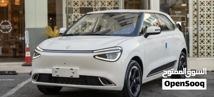 Dongfeng Nammi Box 2025 photo 4