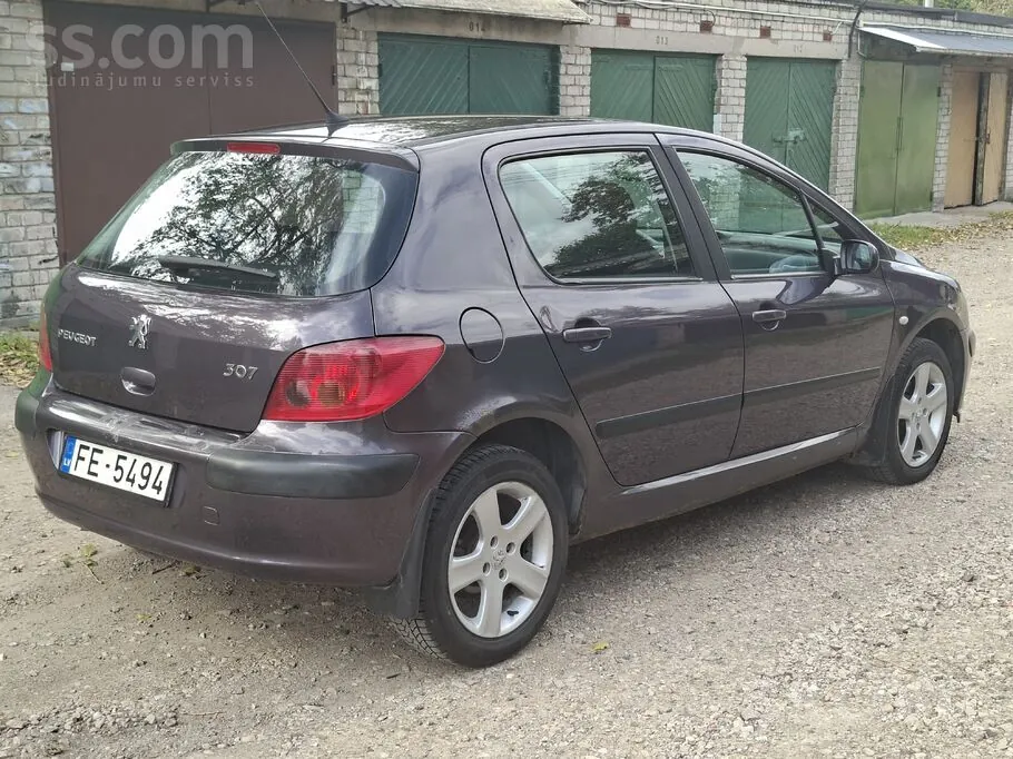 Peugeot 307 2004 photo 3