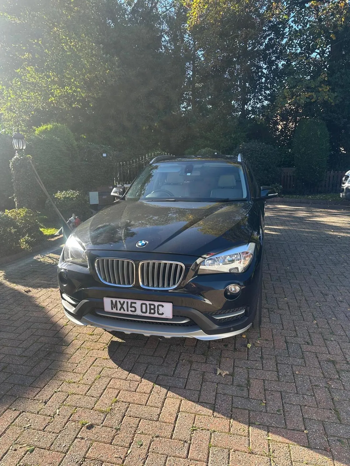 BMW X1 2015 photo 5
