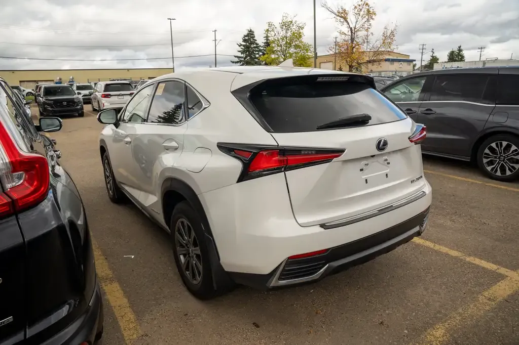 Lexus Nx 2020 photo 4