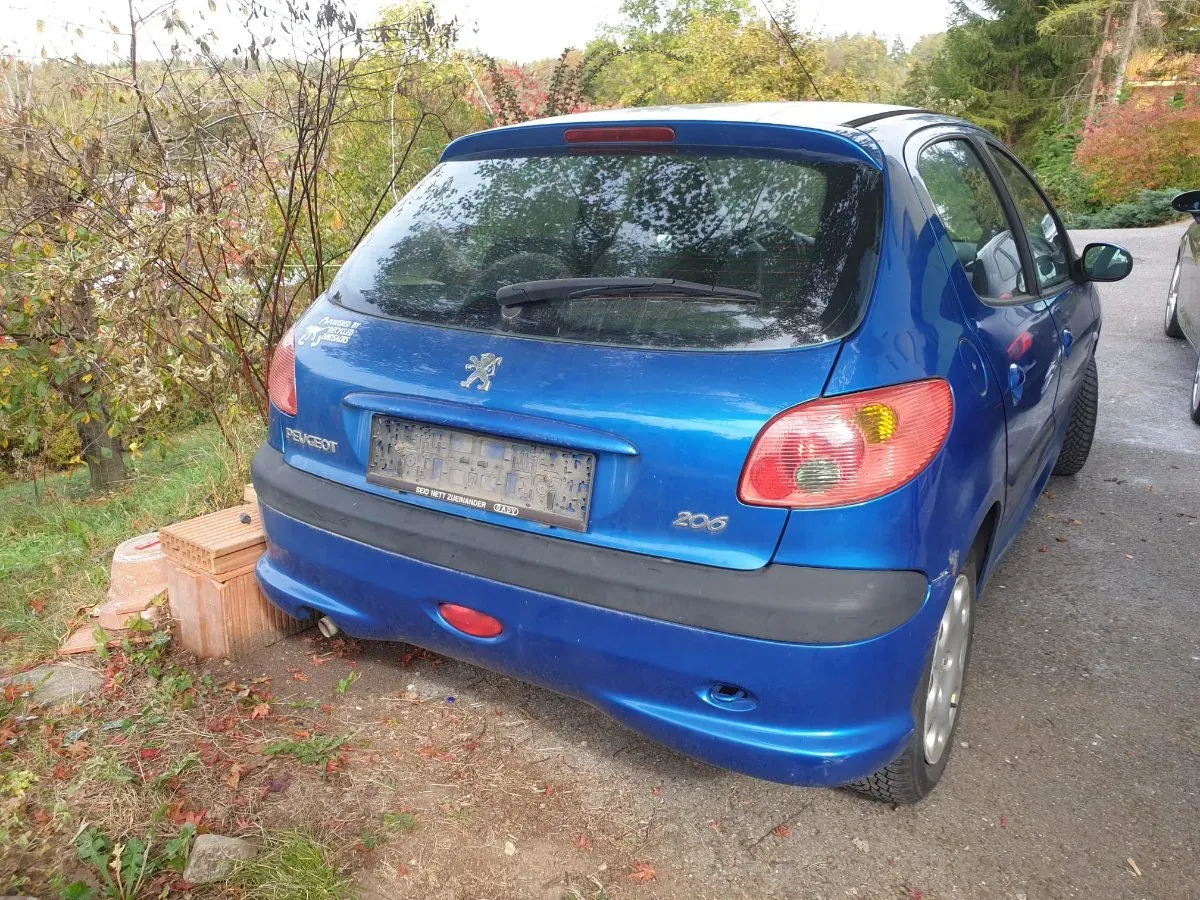 Peugeot 206 2004 photo 2