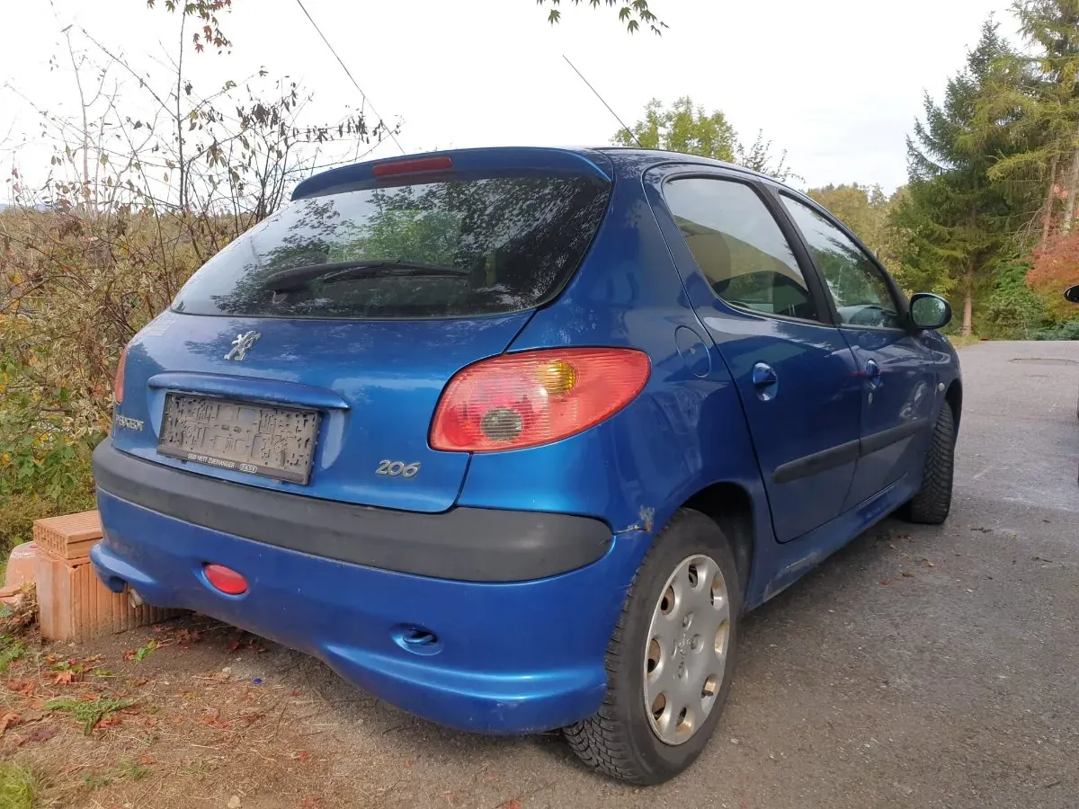 Peugeot 206 2004 photo 3