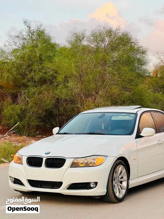 BMW 3 Series 2010 photo 3