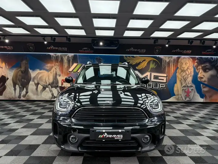 Mini Mini Countryman 2021 photo 2