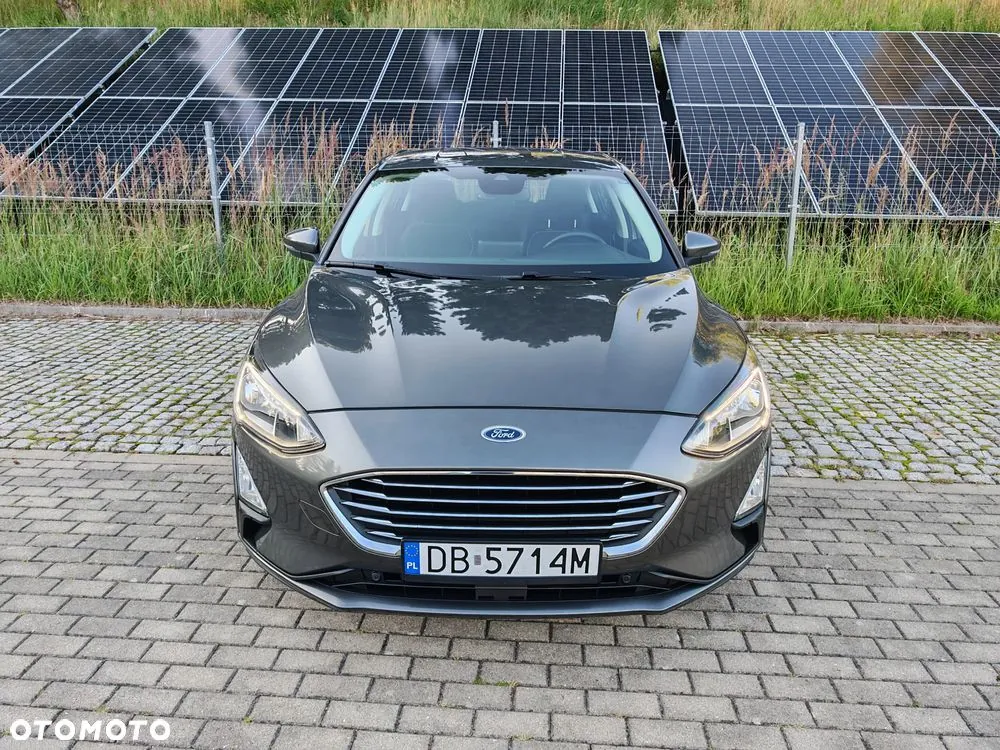 Ford Focus 2019 photo 3