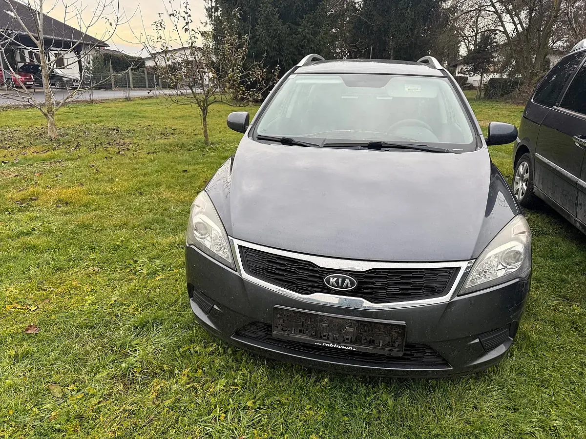 Kia Proceed 2010 photo 2