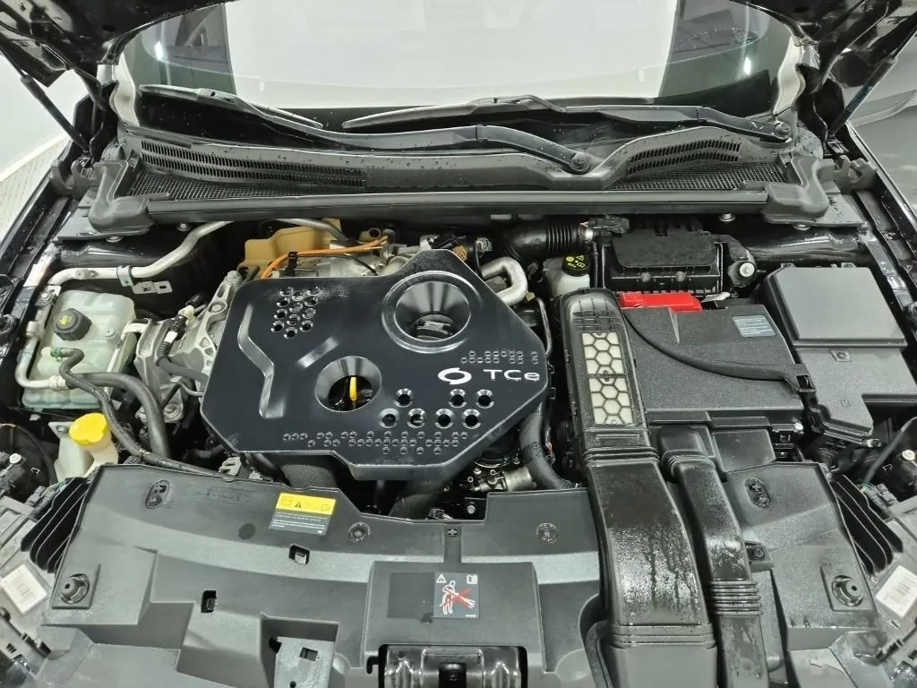 Renault Korea Sm6 2019 photo 5