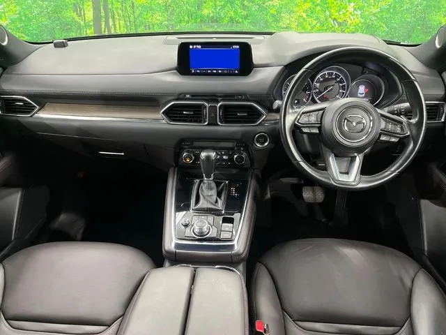 Mitsubishi Cx-8 2018 photo 2