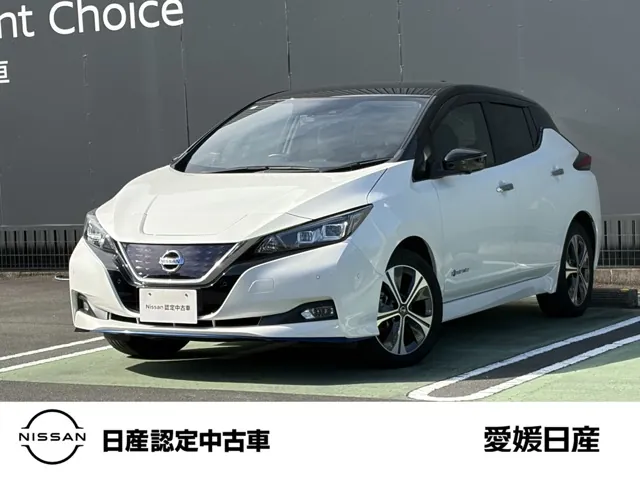 Nissan Leaf 2020 photo 2