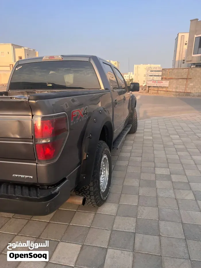 Ford F-150 2012 photo 4