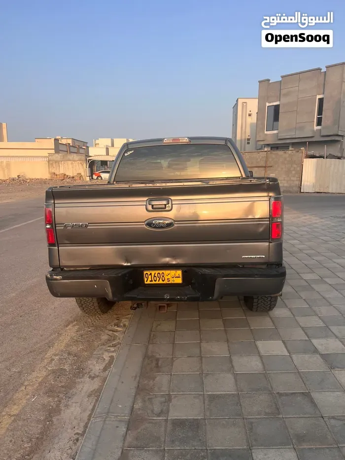 Ford F-150 2012 photo 3