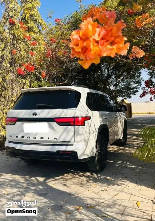 Toyota Sequoia 2025 photo 4