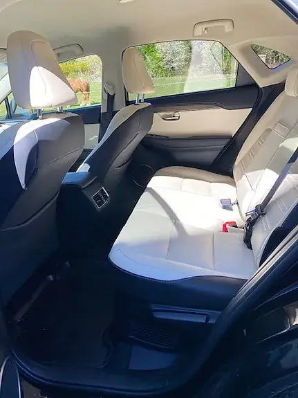 Lexus Nx300H 2018 photo 5