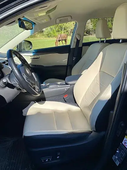 Lexus Nx300H 2018 photo 2