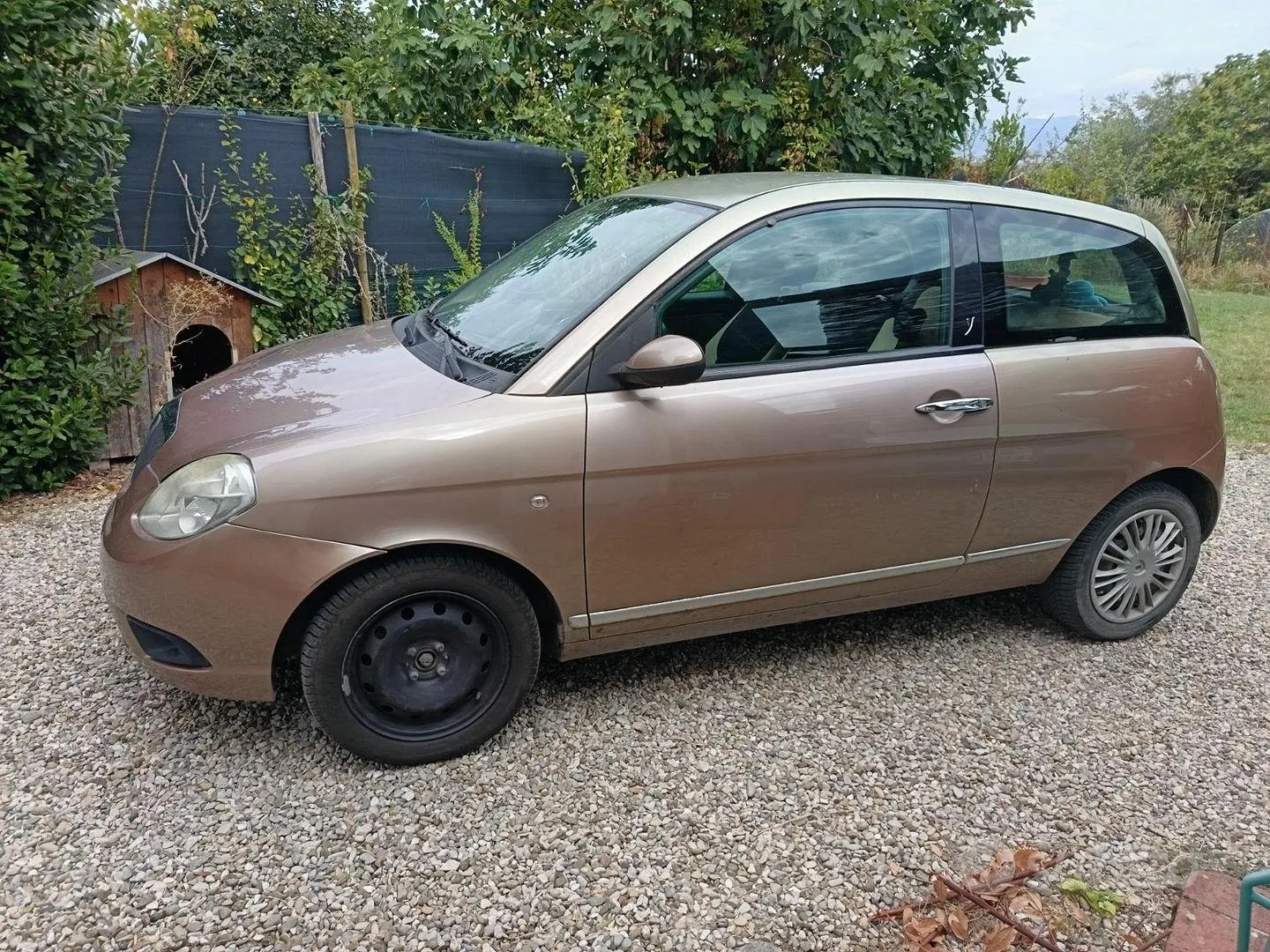 Lancia Ypsilon 2007 photo 5