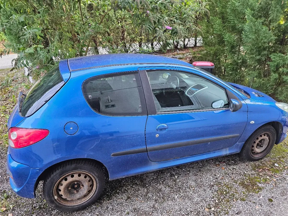 Peugeot 206 2011 photo 2