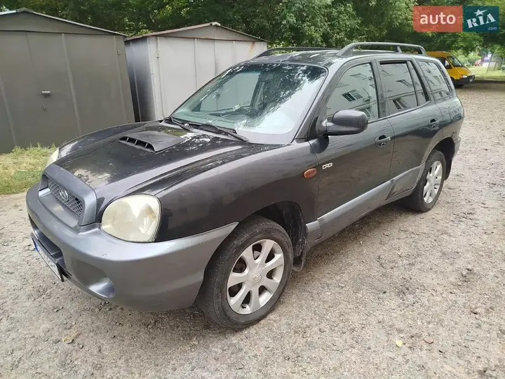 Hyundai Santa Fe 2003 photo 2