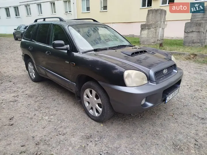 Hyundai Santa Fe 2003 photo 3