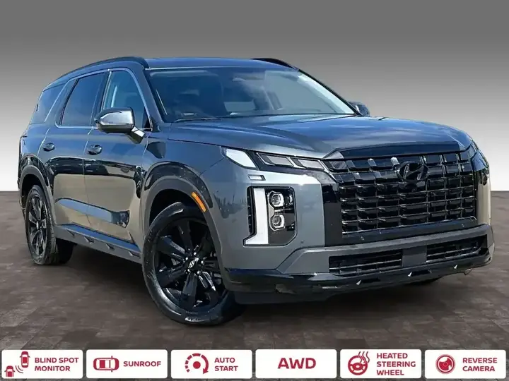 Hyundai Palisade 2024 photo 2