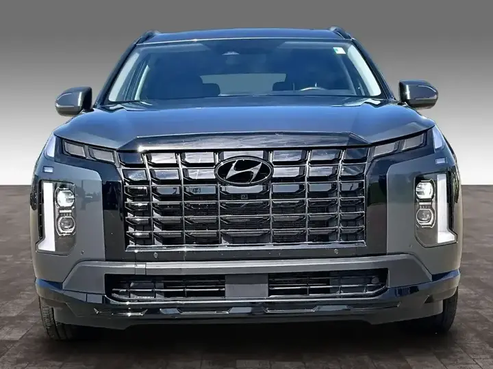 Hyundai Palisade 2024 photo 3