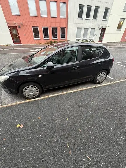 Seat Ibiza 2010 photo 3