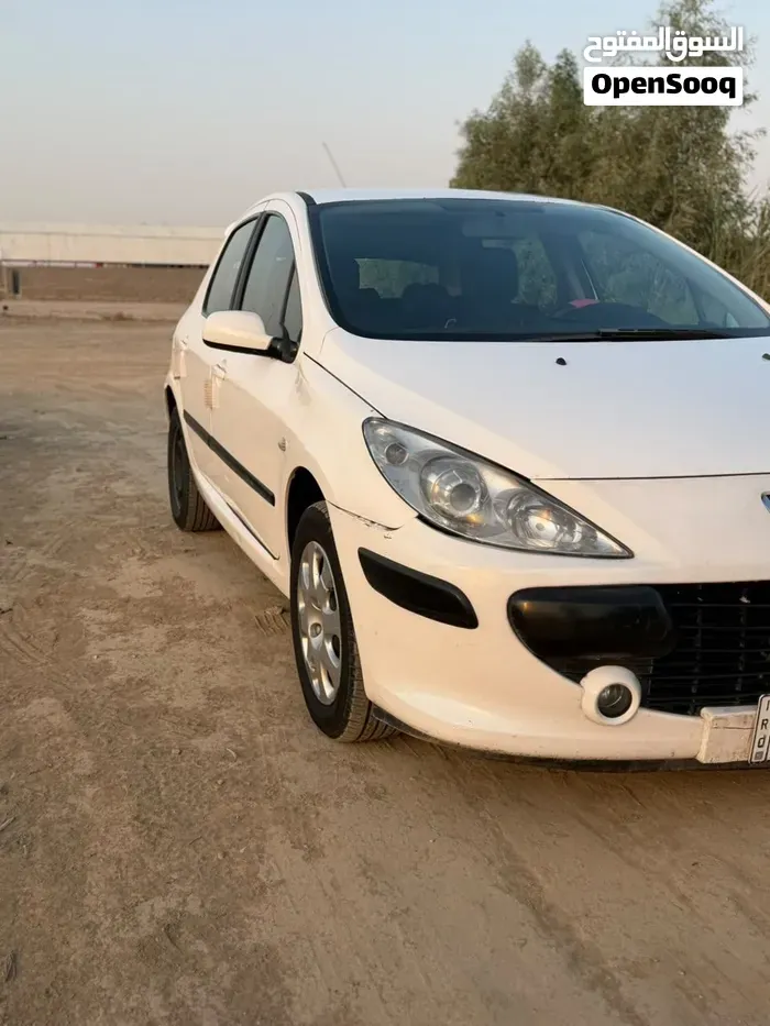 Peugeot 307 2006 photo 4