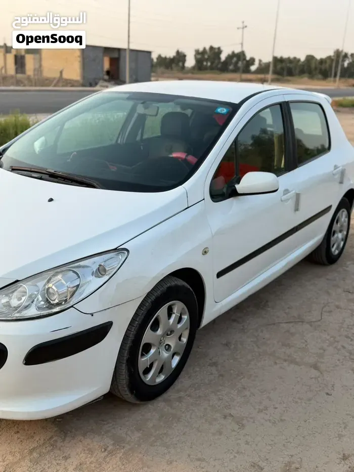 Peugeot 307 2006 photo 3