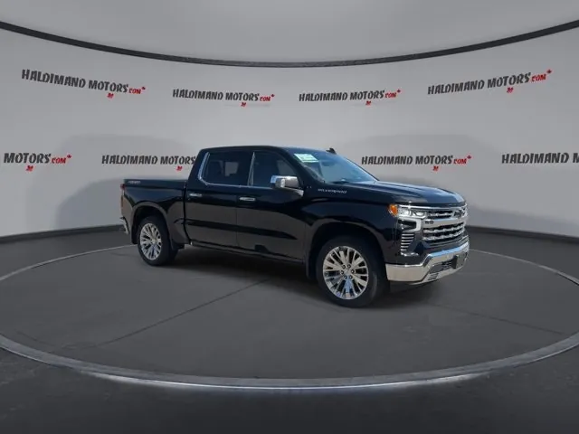 Chevrolet Silverado 1500 2023 photo 2